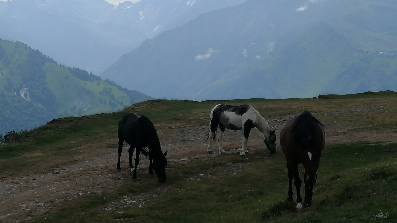 Photo of Others in Peyragudes