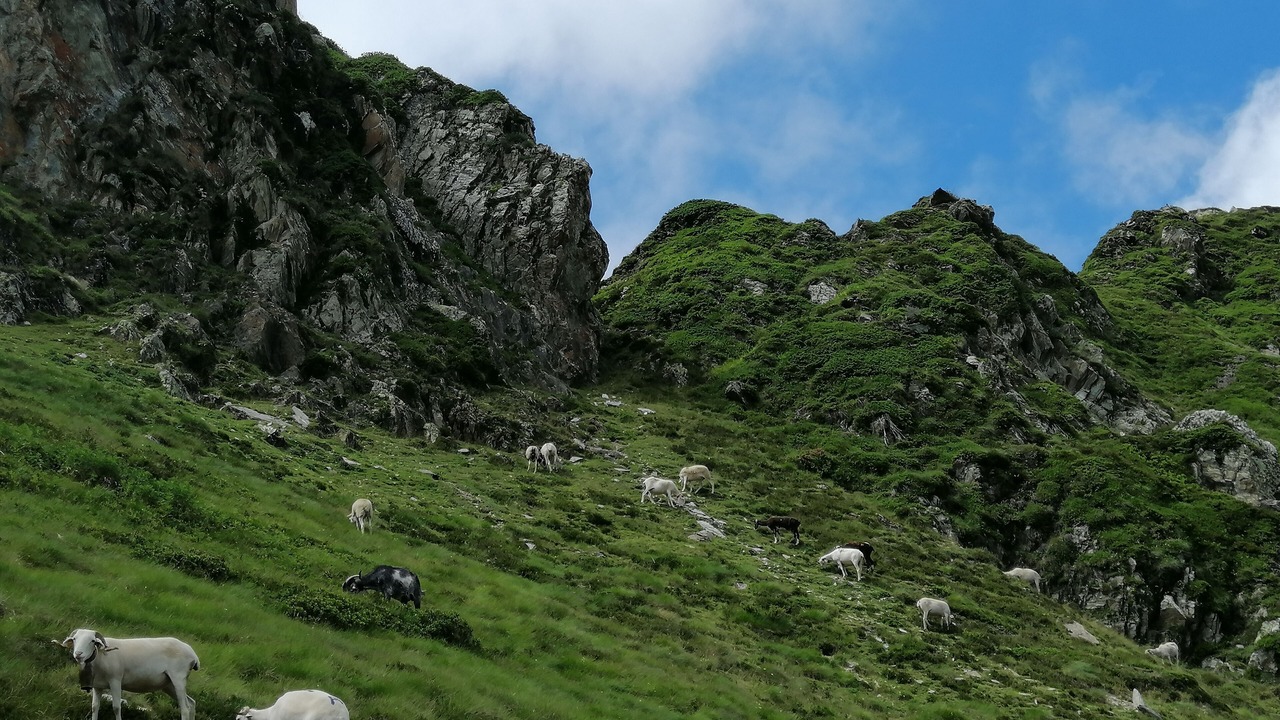 Photo of Outdoor in Peyragudes
