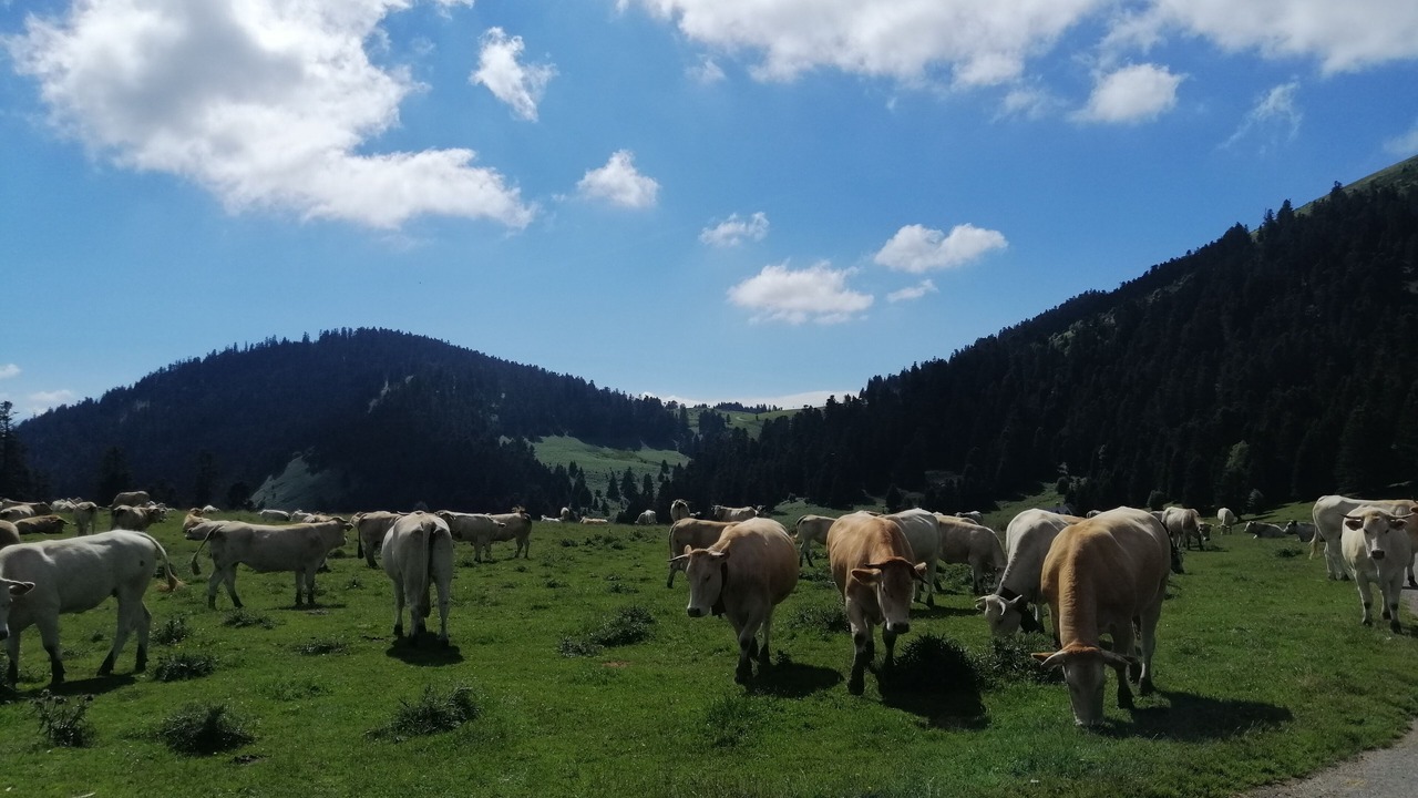 Photo of Outdoor in Peyragudes