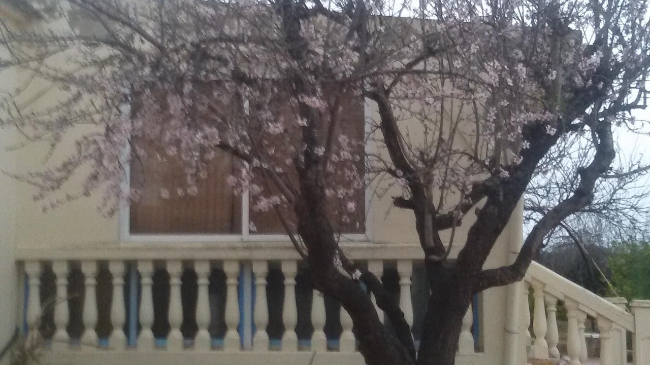 Photo of Outdoor in Godelleta