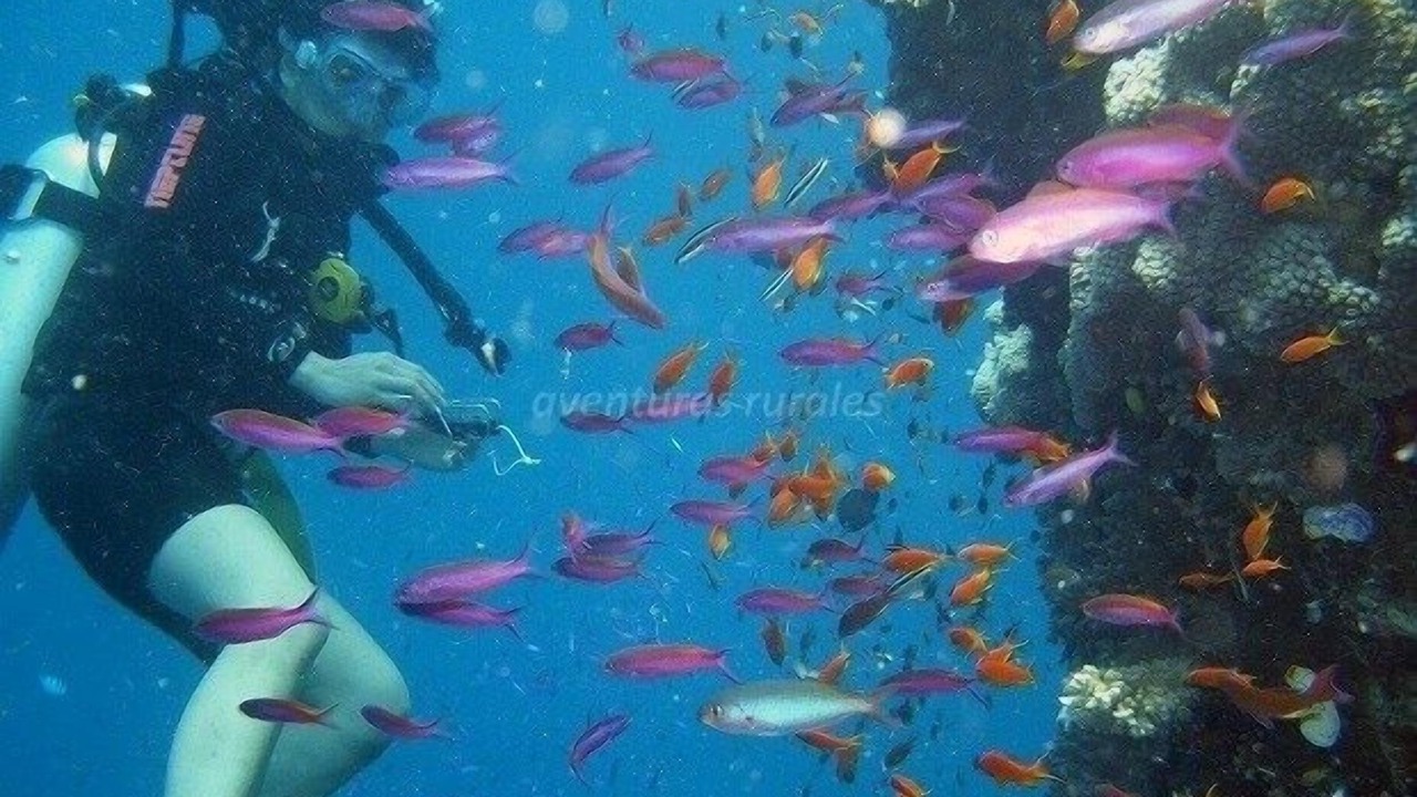 Photo of Others in Cala Reona