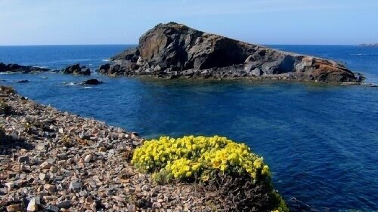 Photo of Others in Cala Reona