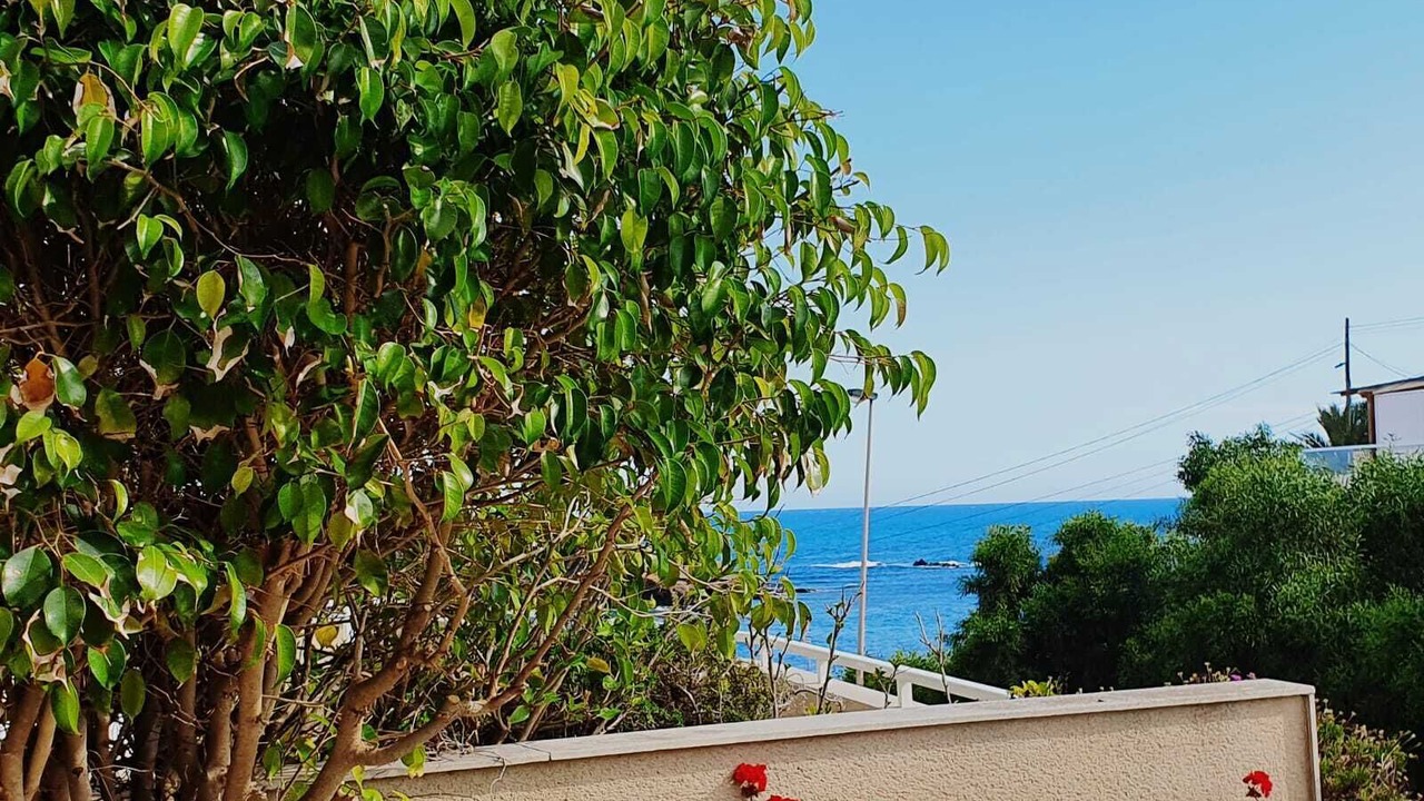 Photo of Outdoor in Cala Reona