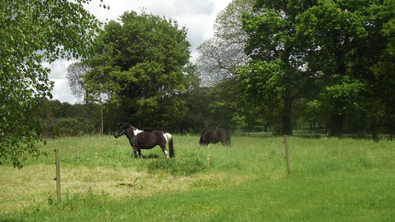 Photo of Outdoor in Les Champs-Geraux