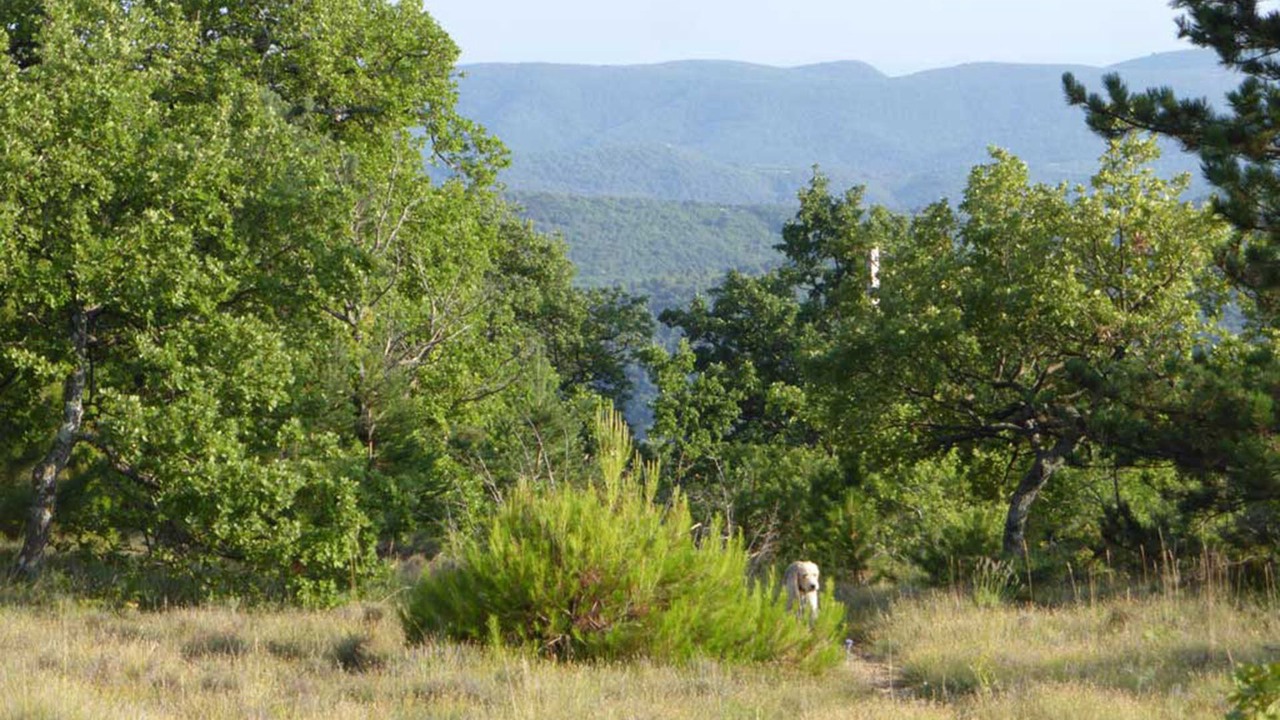 Photo of Outdoor in Sainte-Croix-a-Lauze