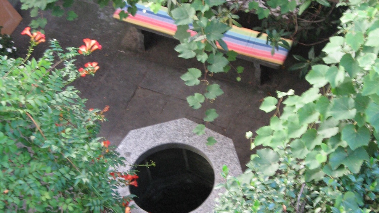 Photo of Outdoor in Golino