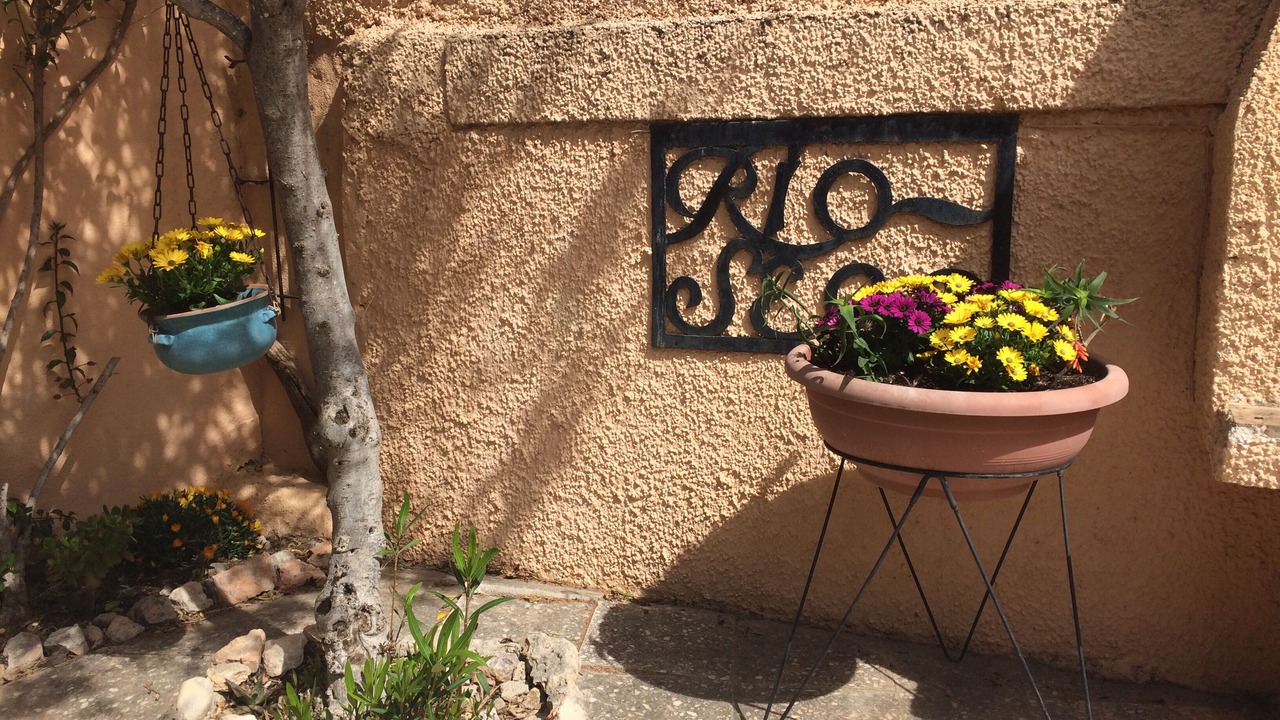 Photo of Outdoor in Dehesa de Campoamor