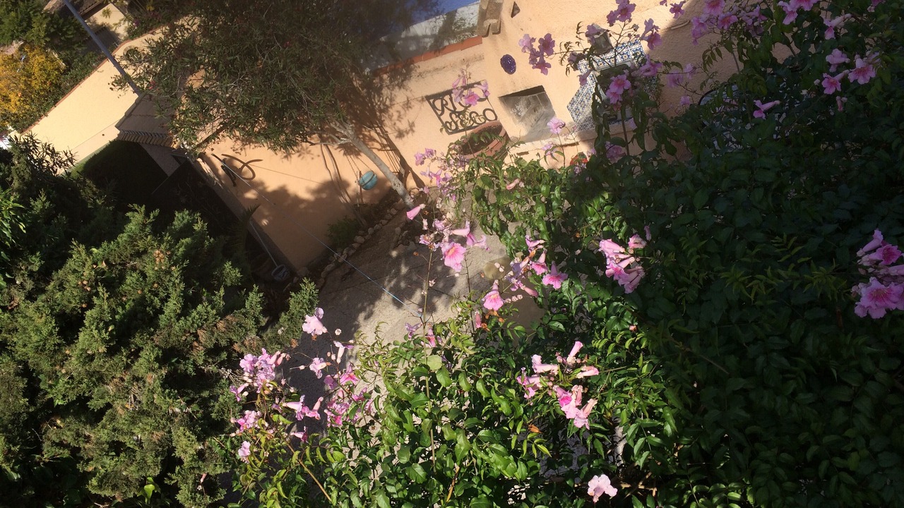 Photo of Outdoor in Dehesa de Campoamor