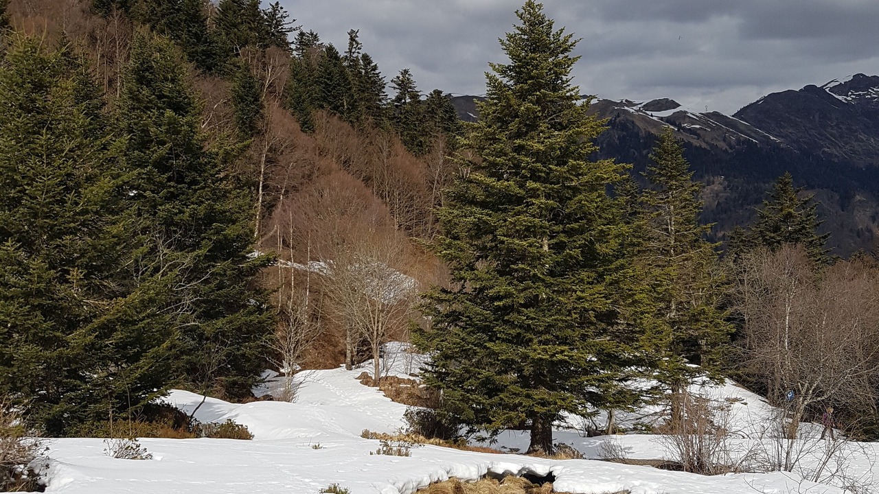 Photo of Others in Bagneres-de-Luchon