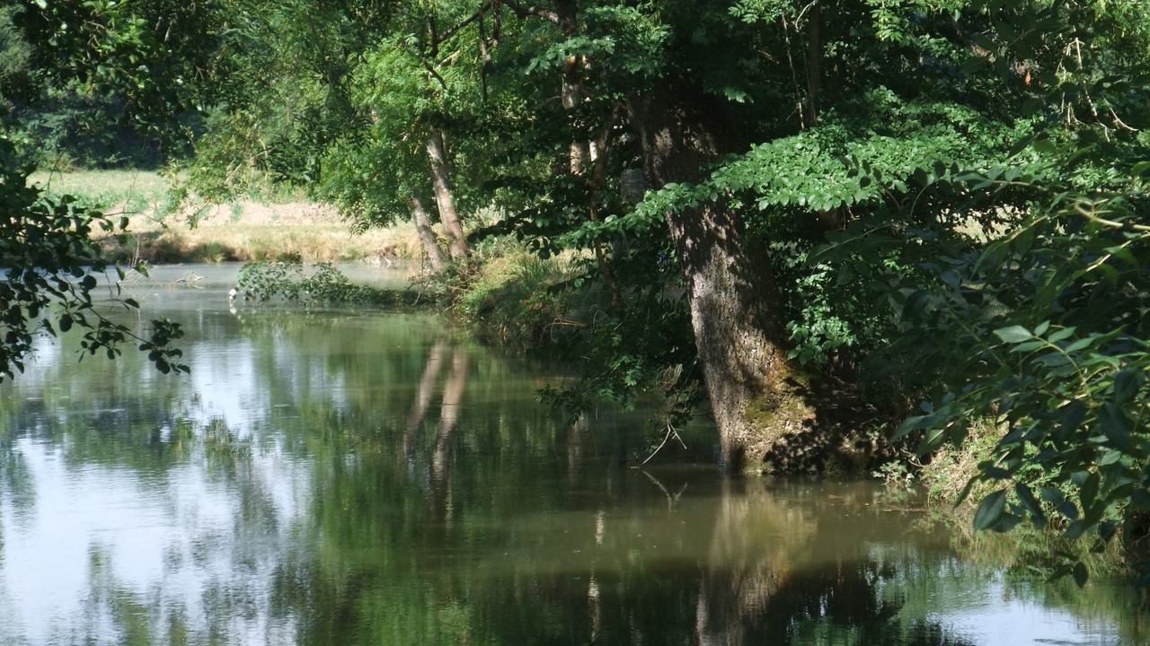 Photo of Outdoor in Villereal