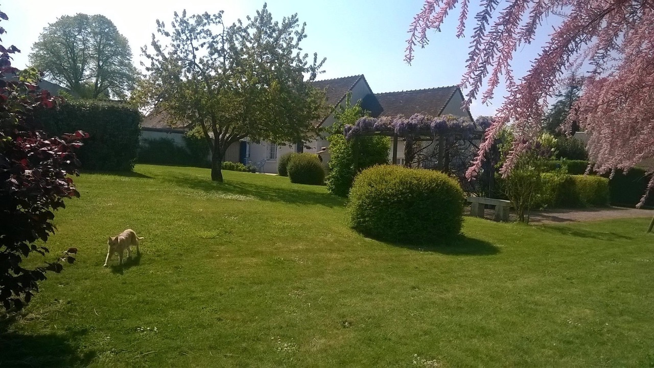 Photo of Outdoor in Ligueil