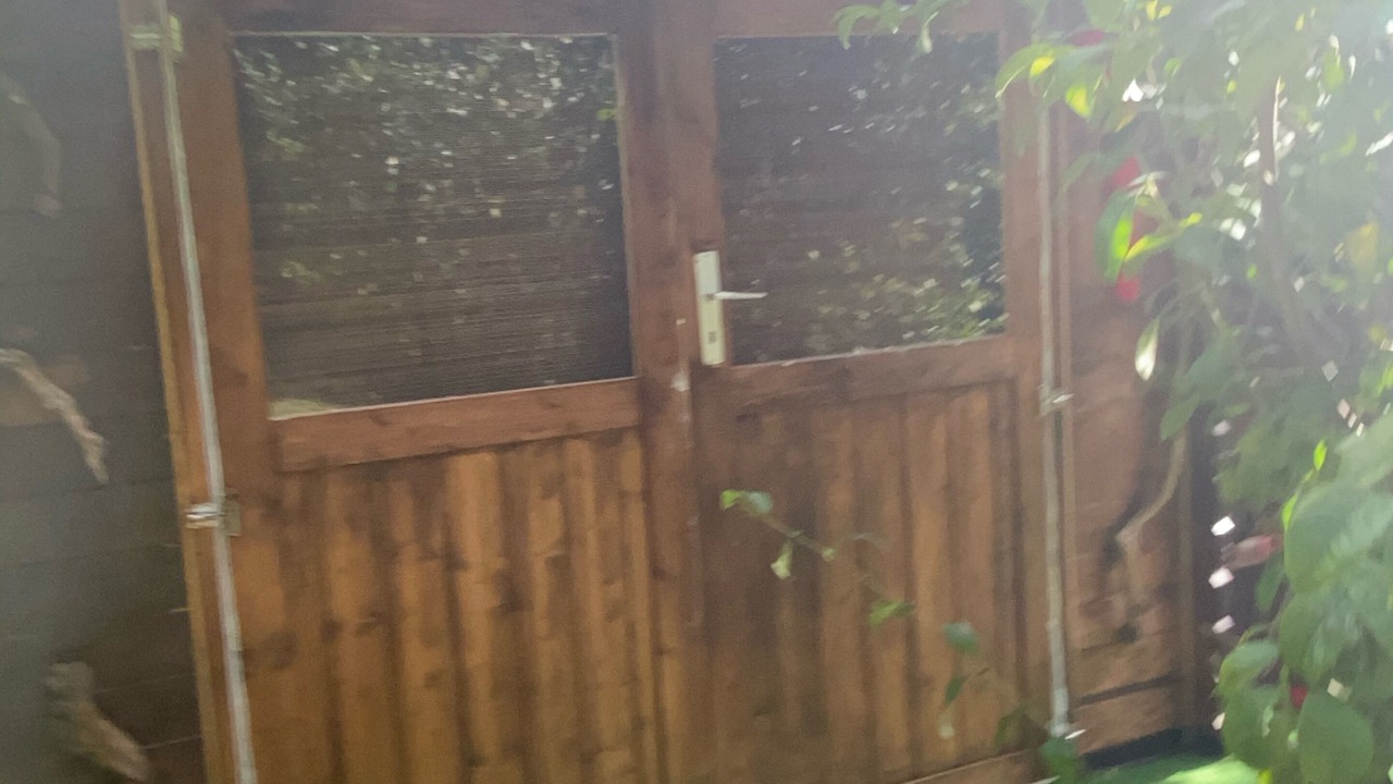 Photo of Outdoor in Belvedere