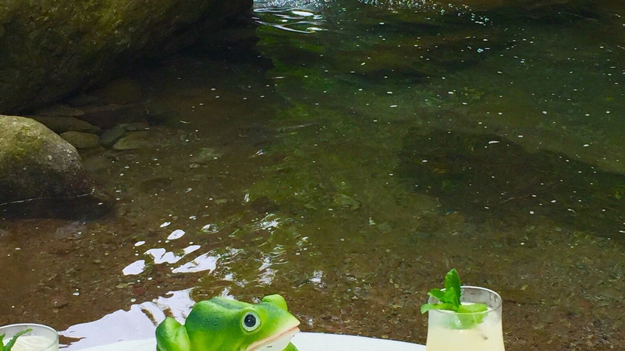 Photo of Others in Belvedere