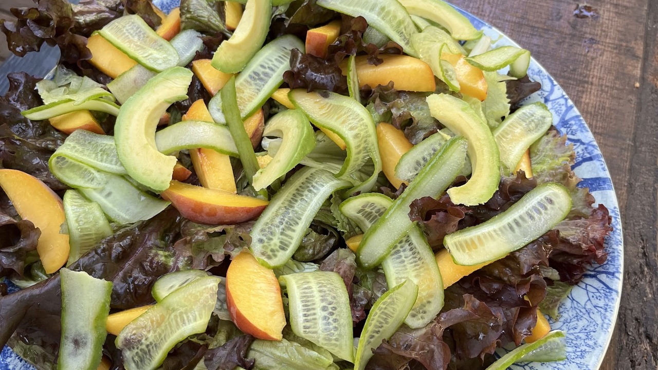 Photo of Others in Belvedere