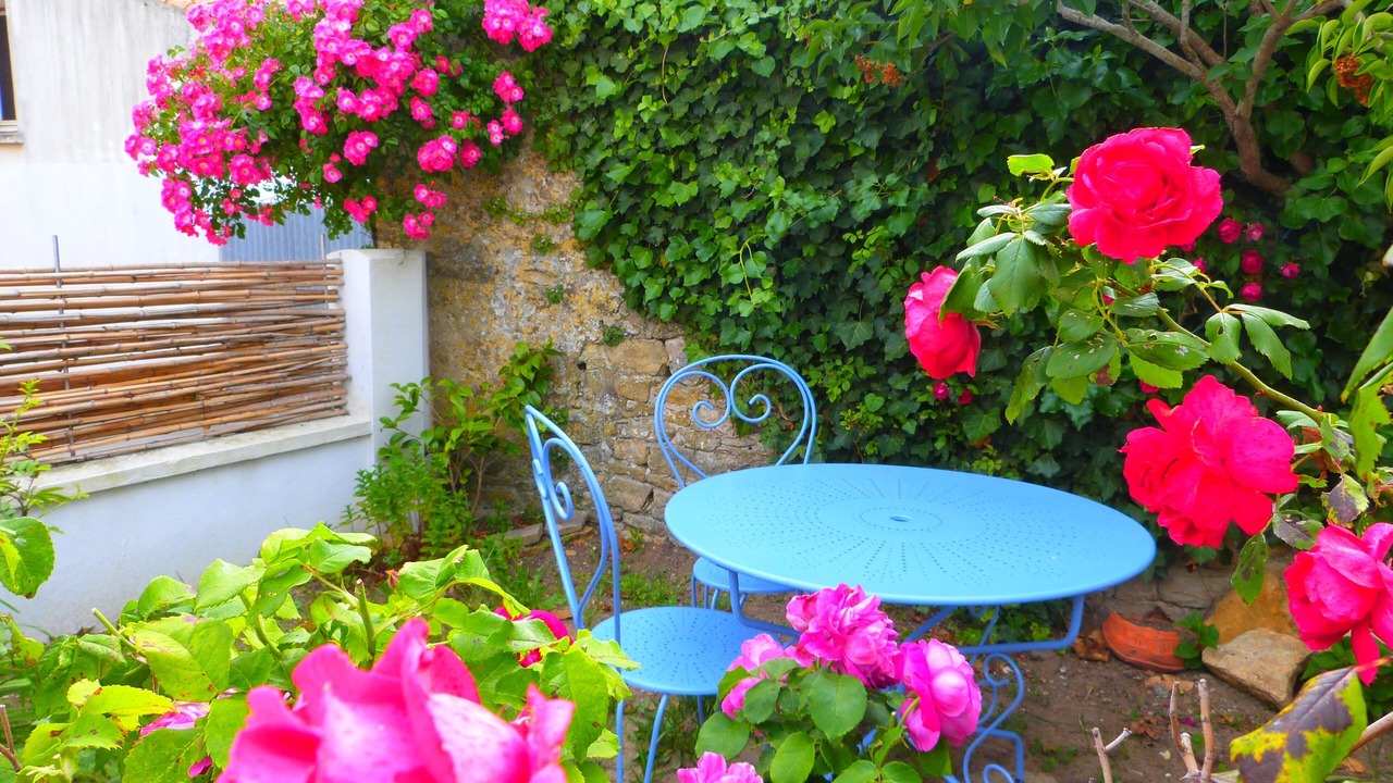 Photo of Outdoor in Talmont-Saint-Hilaire