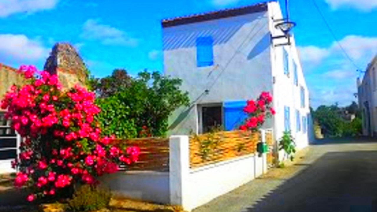 Photo of Outdoor in Talmont-Saint-Hilaire
