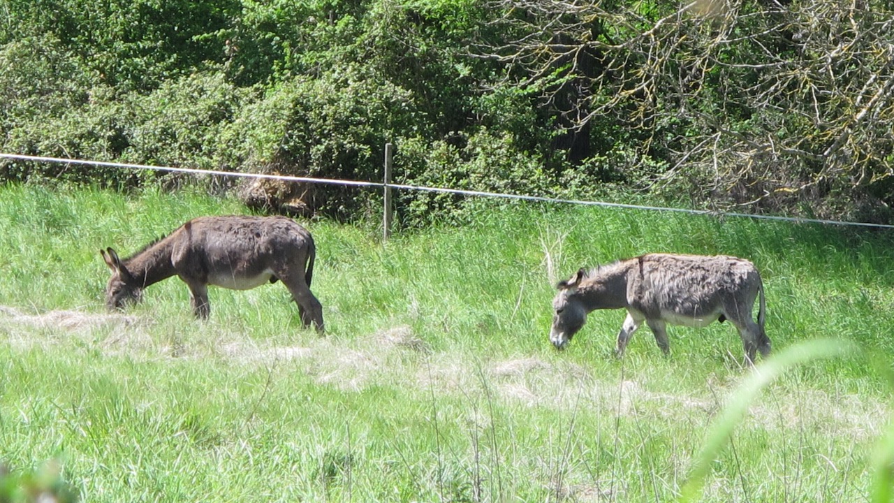 Photo of Outdoor in Abilly