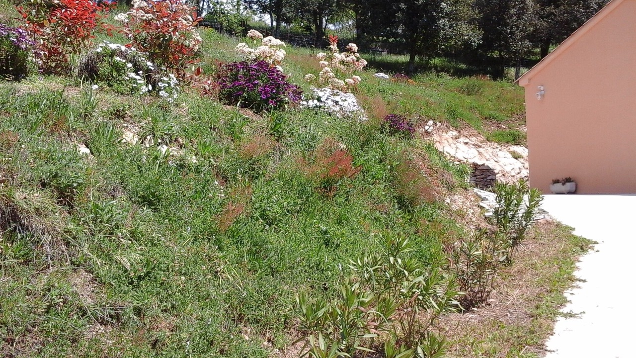 Photo of Outdoor in Bocognano