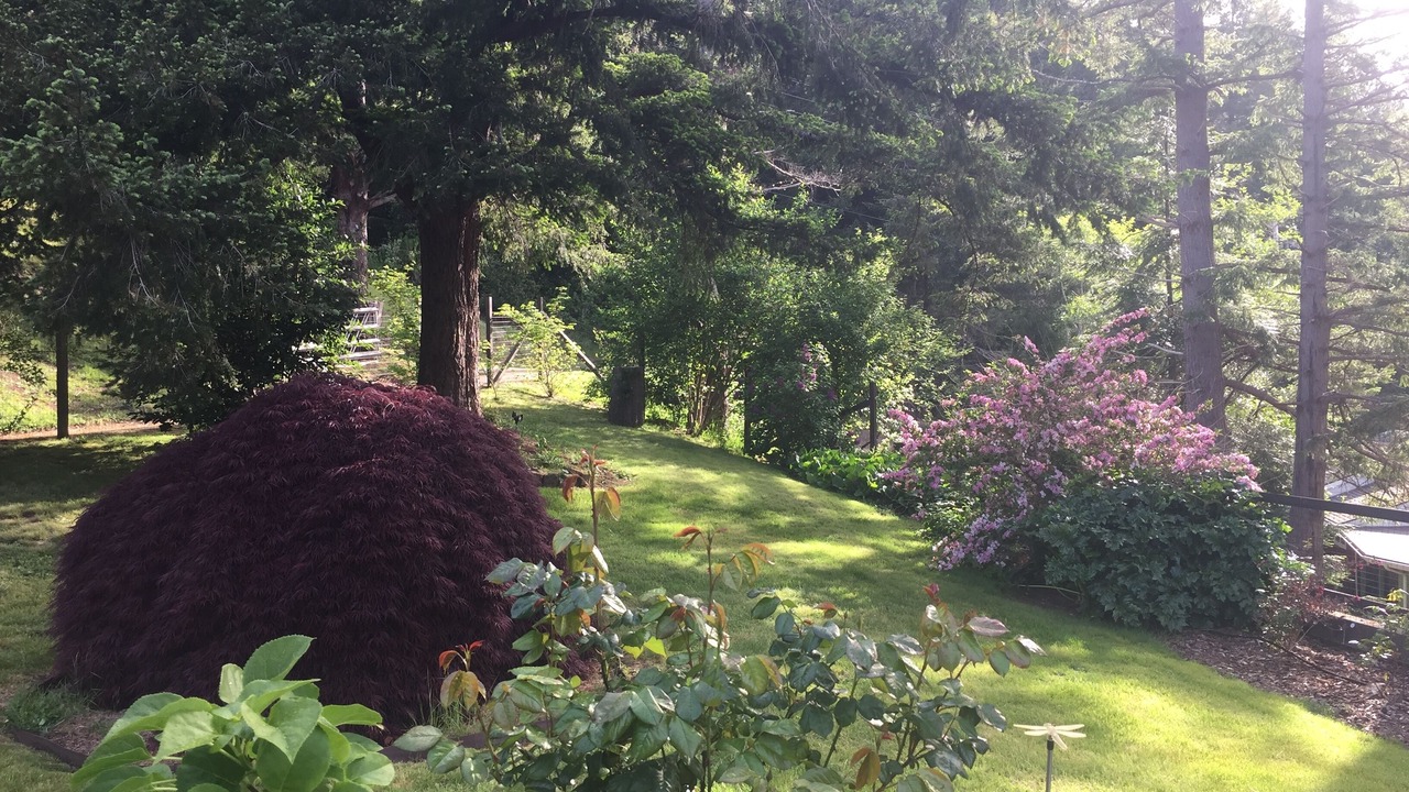 Photo of Outdoor in Gold Beach