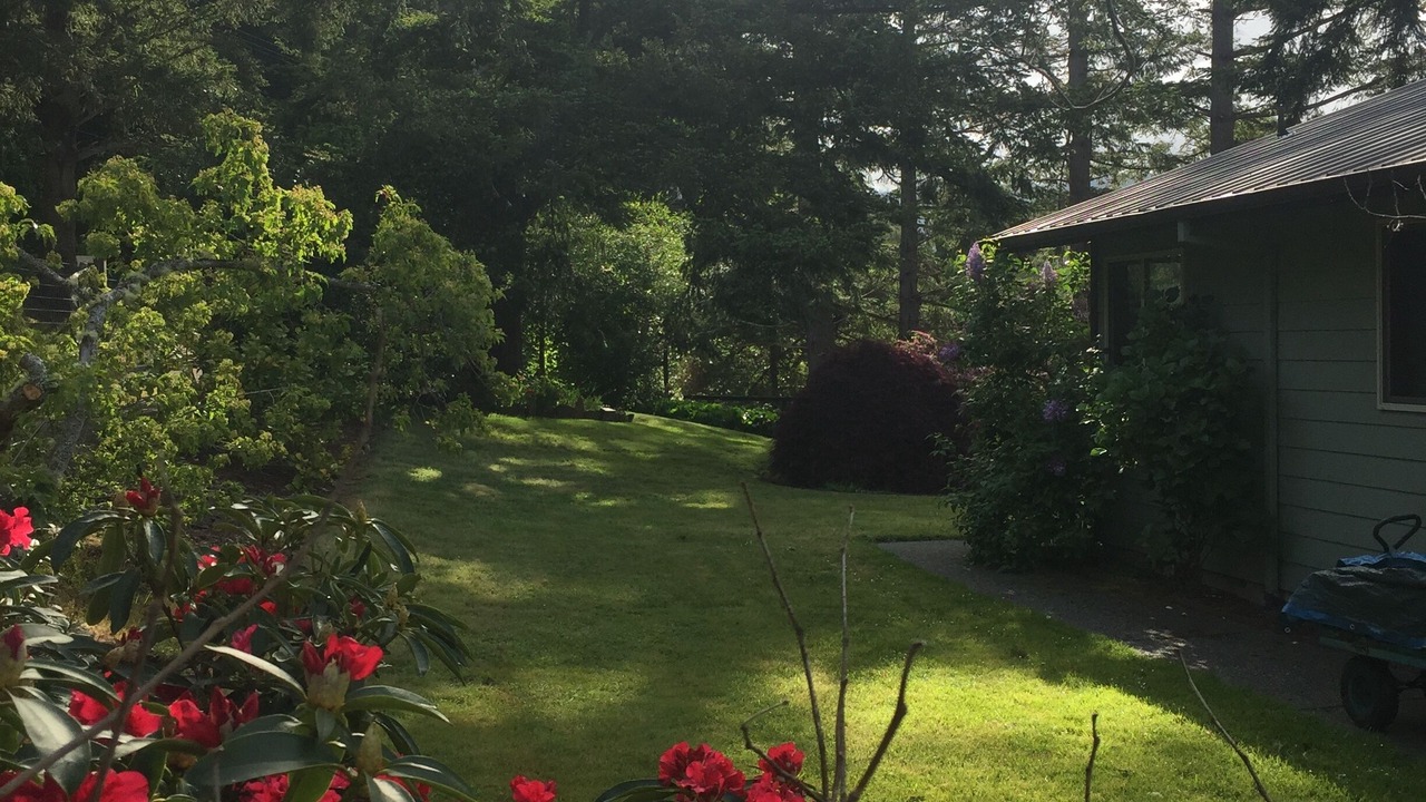 Photo of Outdoor in Gold Beach