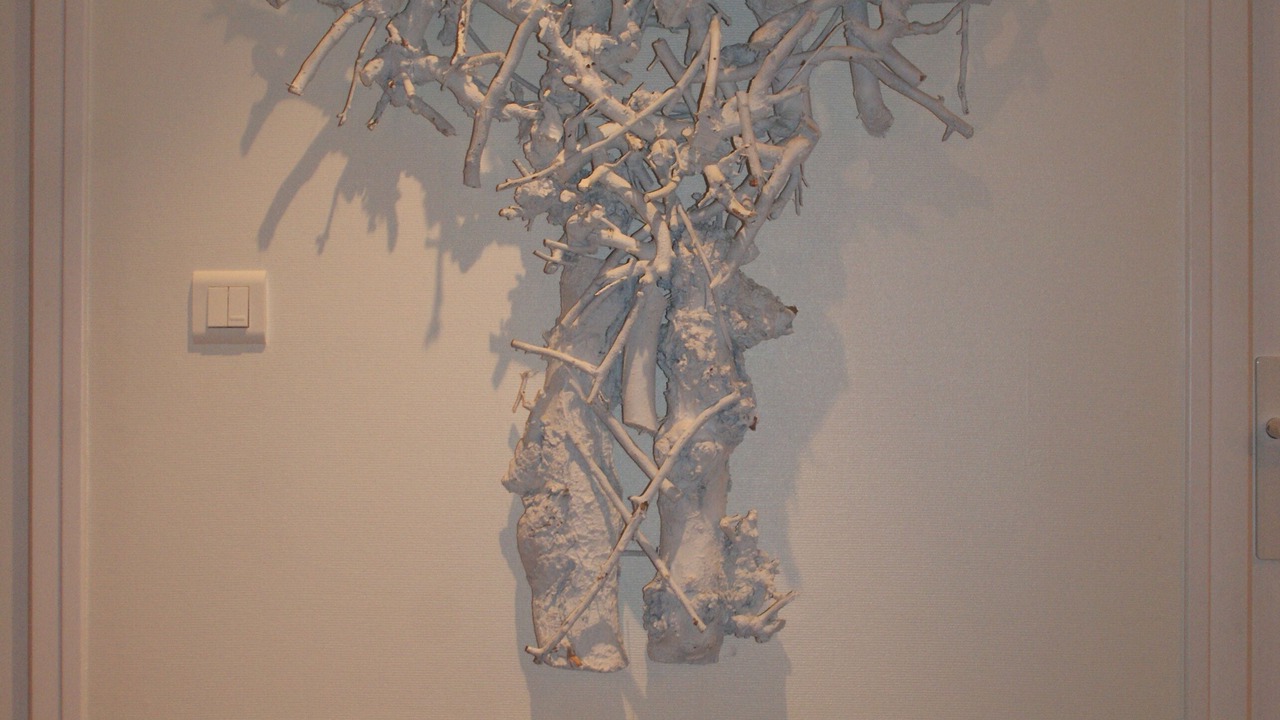 Photo of Others in Hardelot-Plage