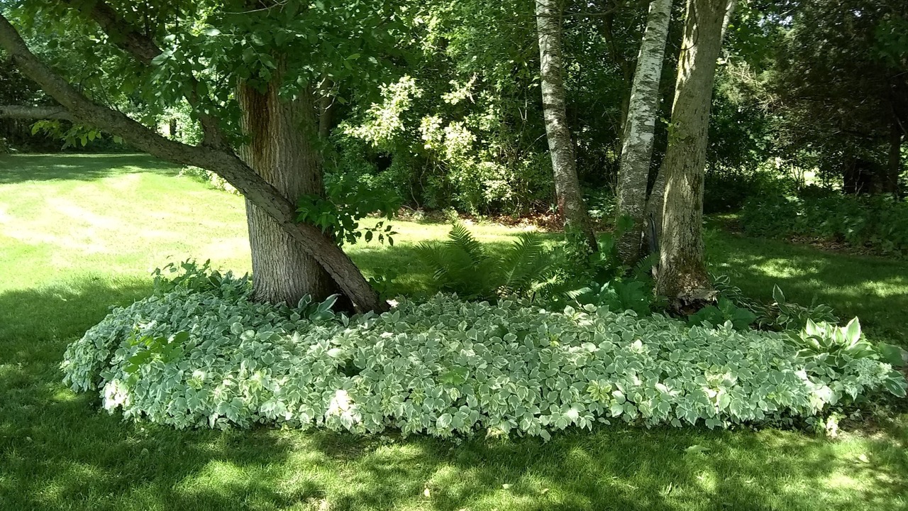 Photo of Outdoor in Peterson
