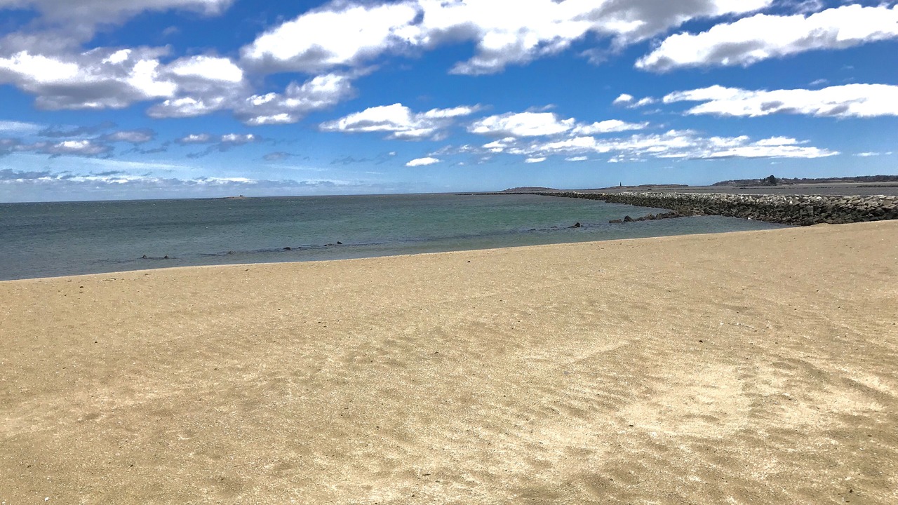 Photo of Others in Camp Ellis