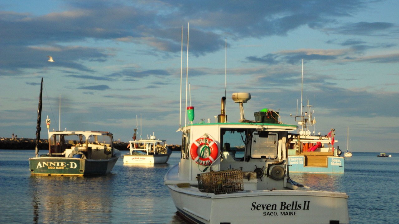 Photo of Others in Camp Ellis