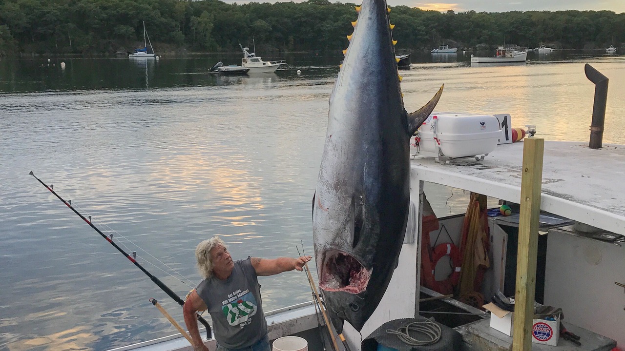 Photo of Others in Camp Ellis