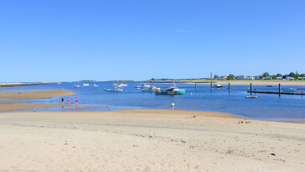 Photo of Others in Camp Ellis