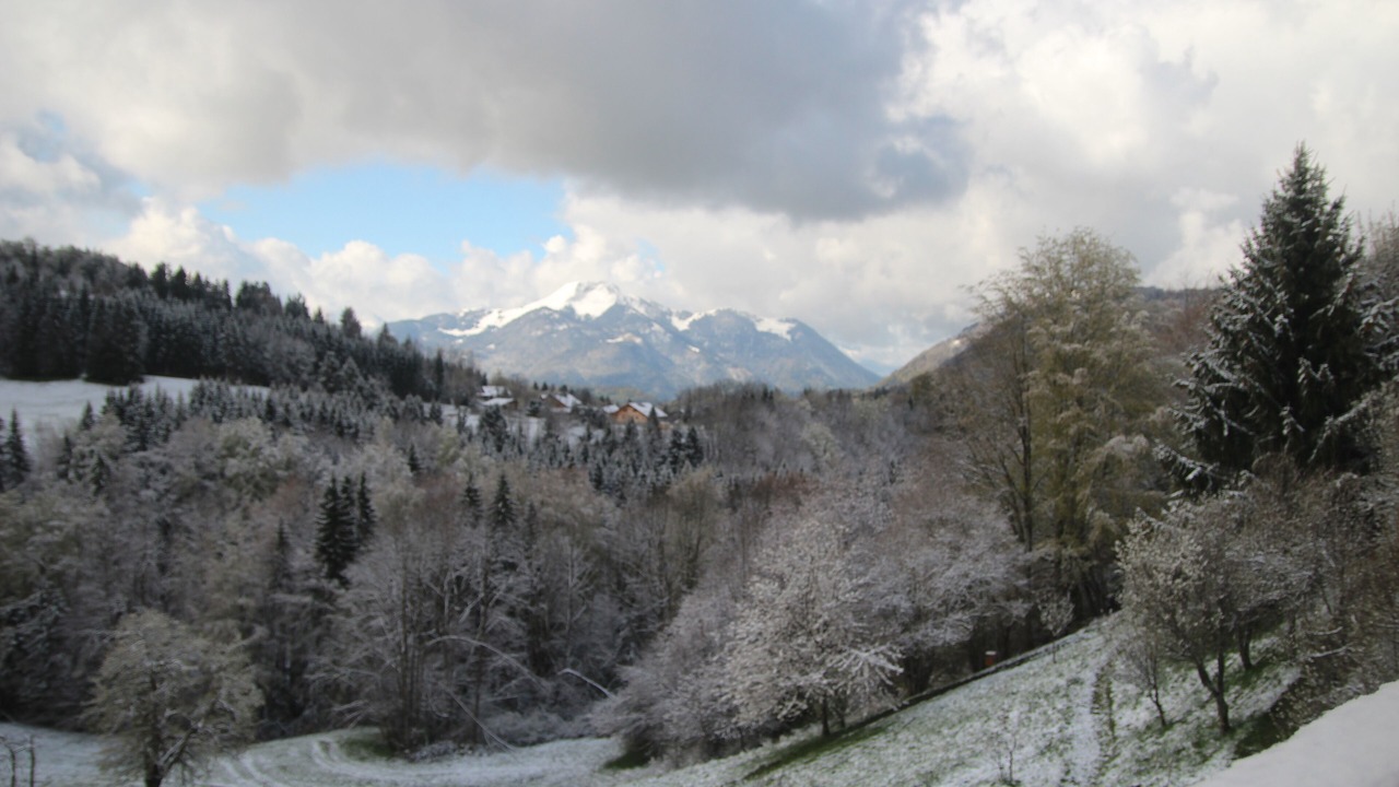 Photo of Outdoor in Megevette