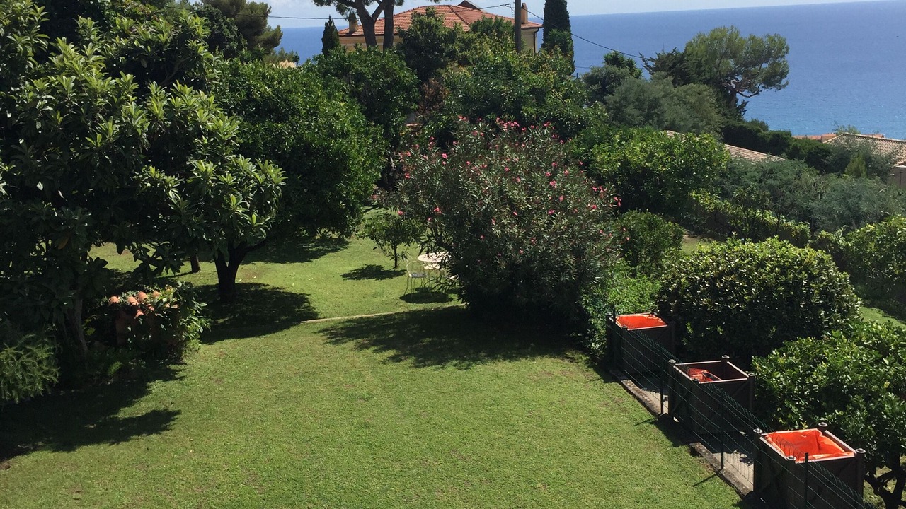 Photo of Outdoor in Menton