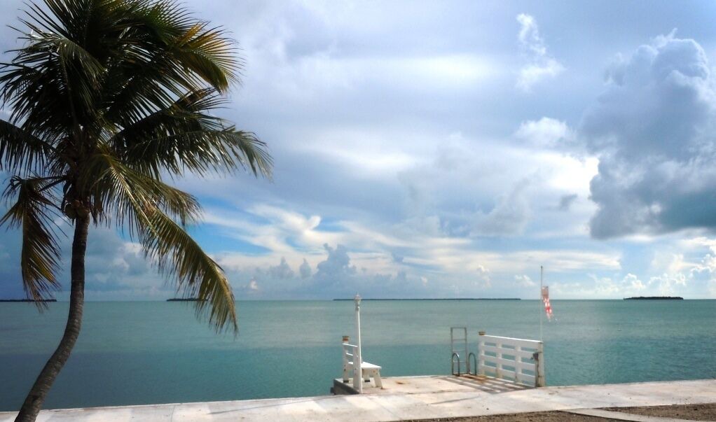 Photo of Others in Summerland Key