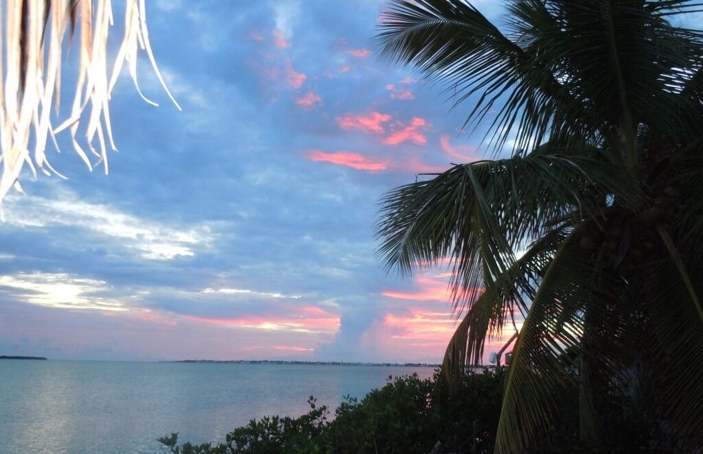 Photo of Outdoor in Summerland Key