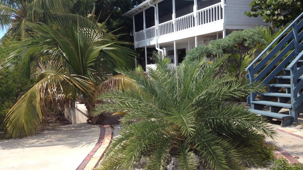 Photo of Outdoor in Summerland Key