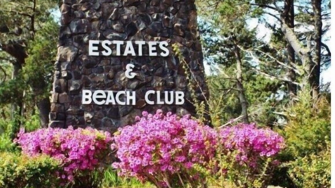 Photo of Others in Bayshore