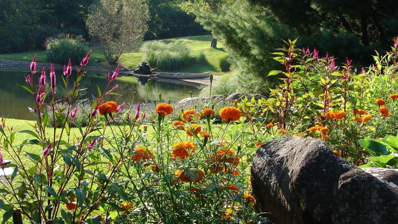 Photo of Outdoor in Robbinsville