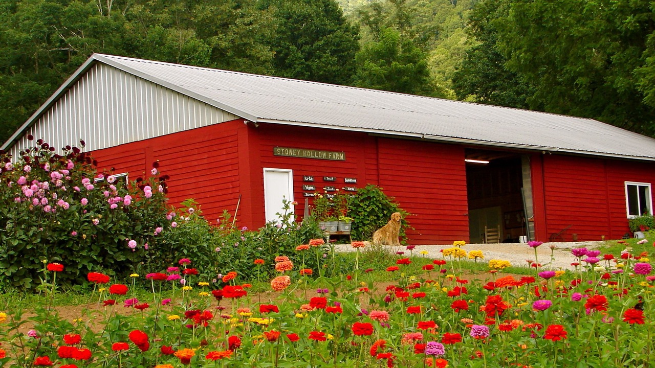 Photo of Outdoor in Robbinsville