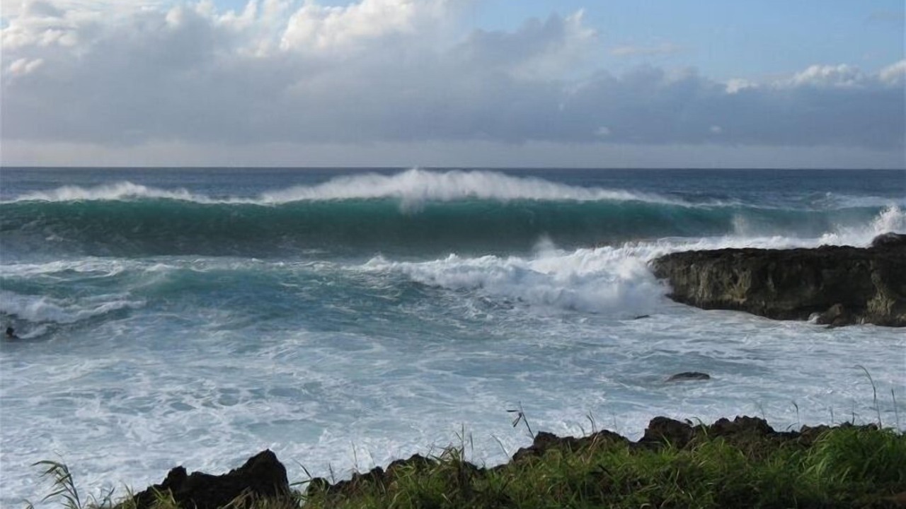 Photo of Others in Kahuku
