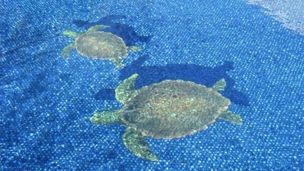 Photo of Others in Kahuku