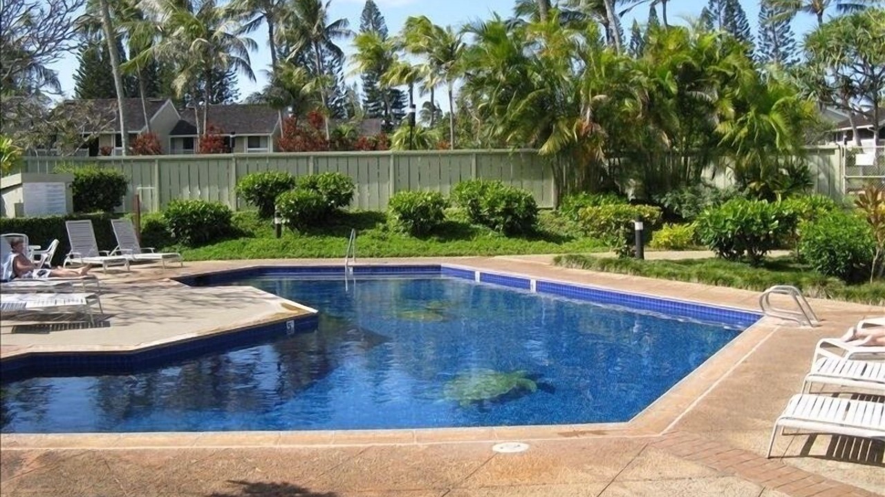 Photo of Outdoor in Kahuku