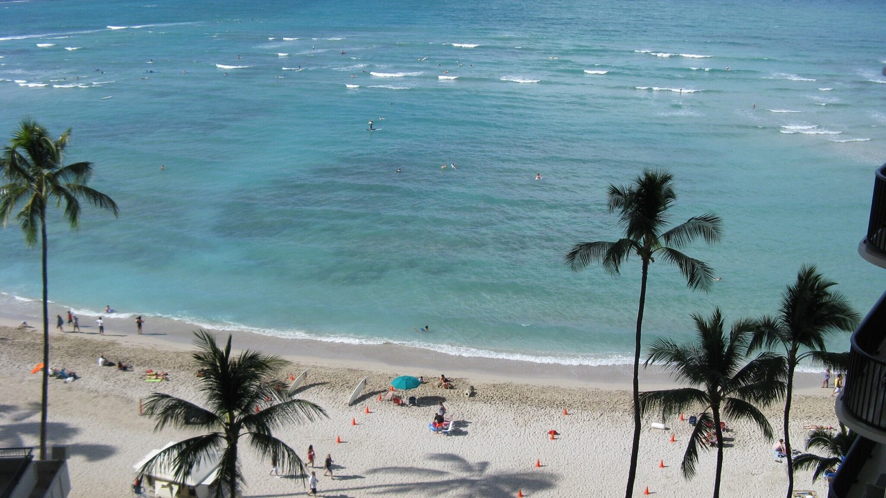 Photo of Others in Kahuku