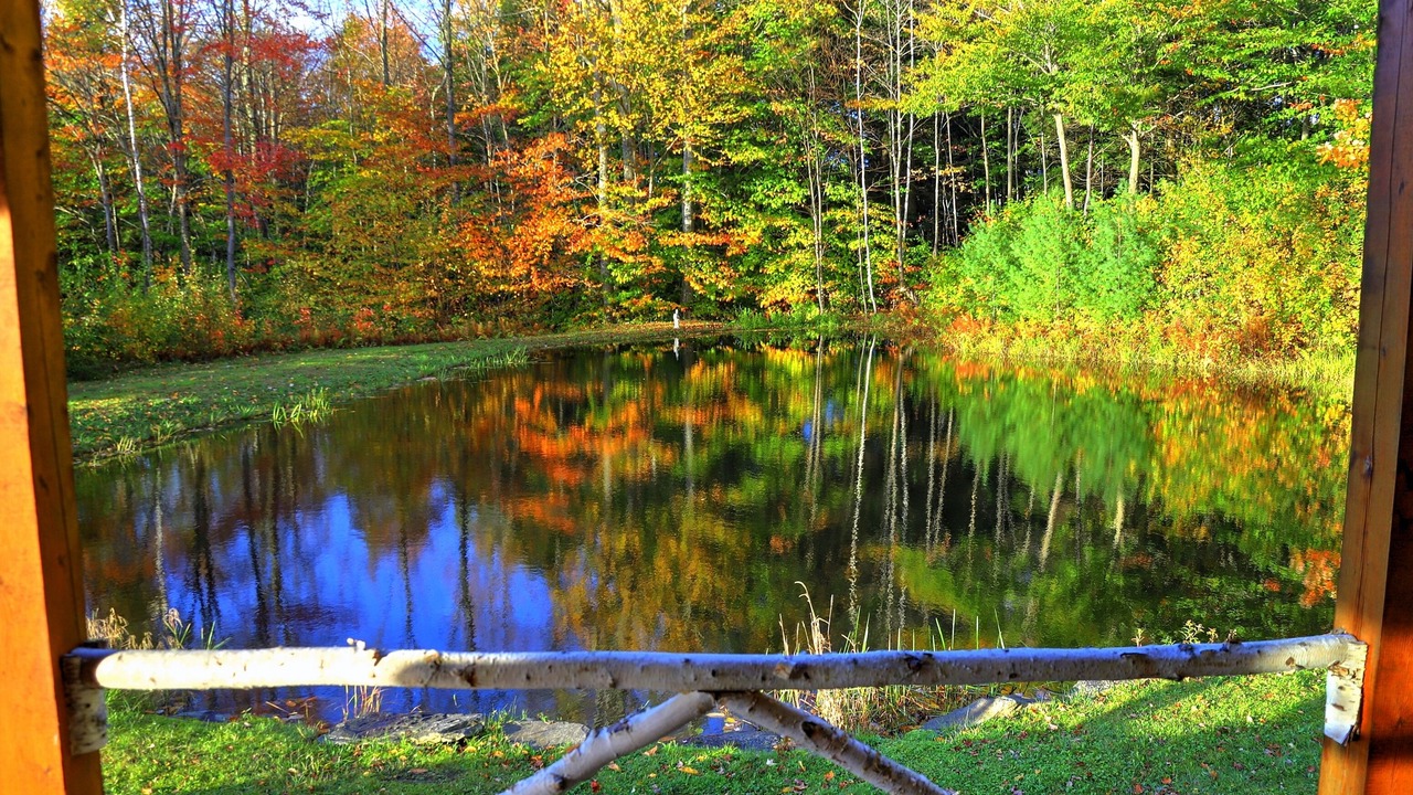 Photo of Others in Londonderry