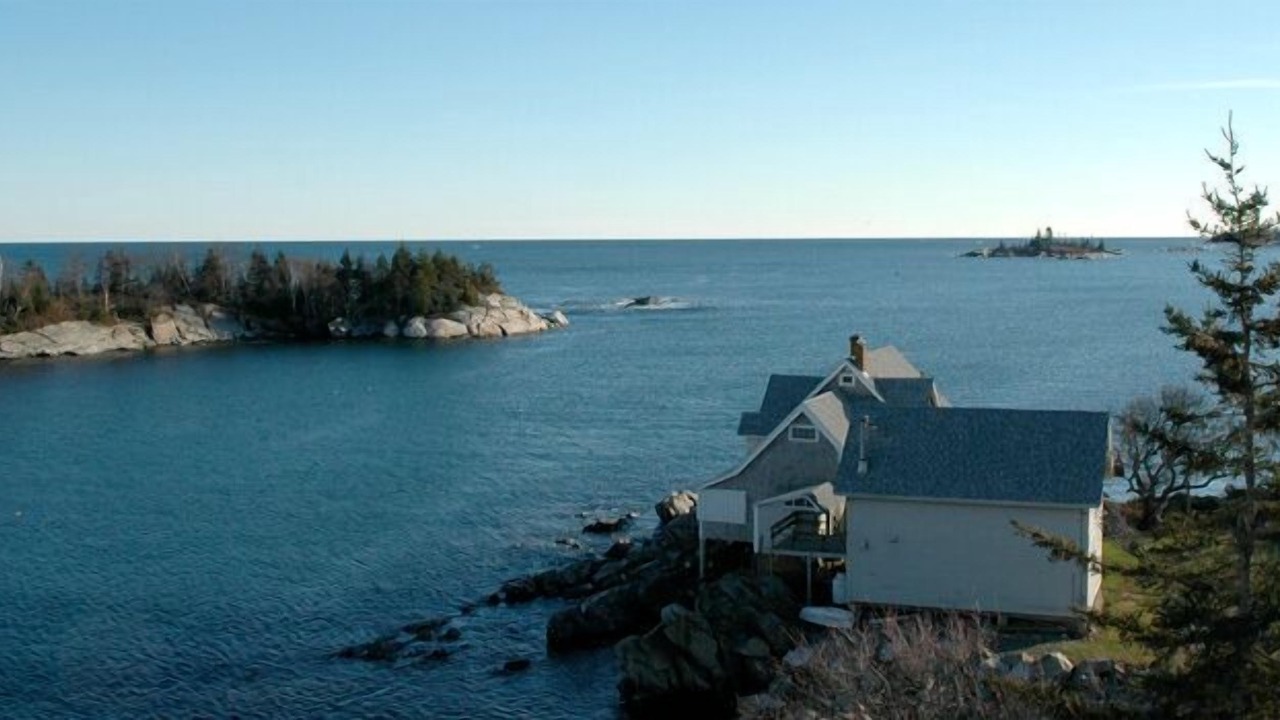 Photo of Others in Christmas Cove