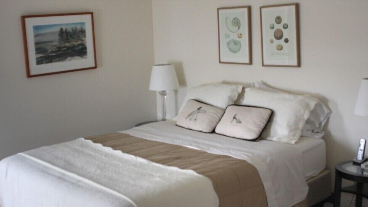 Photo of Others in Christmas Cove