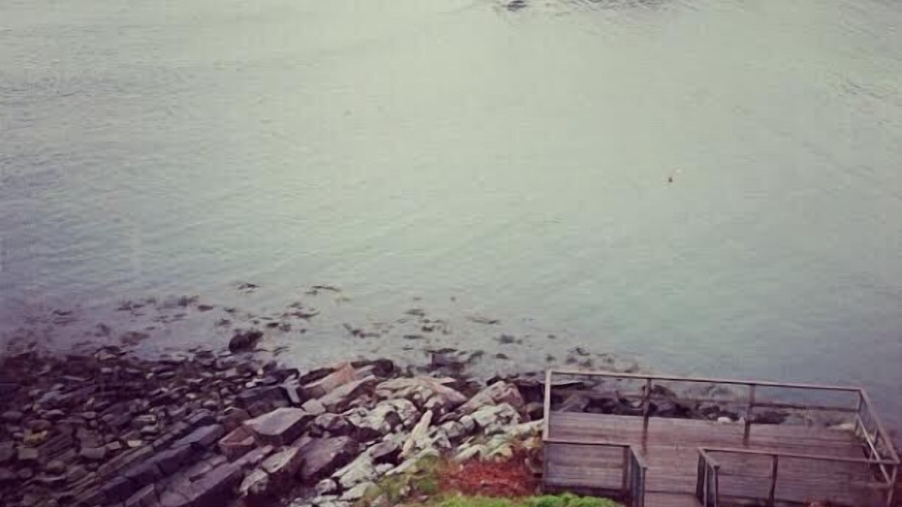 Photo of Others in Christmas Cove