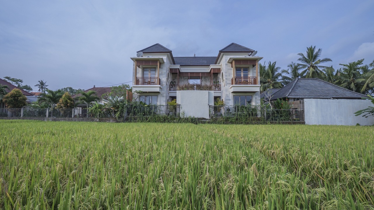 Photo of Outdoor in Petulu