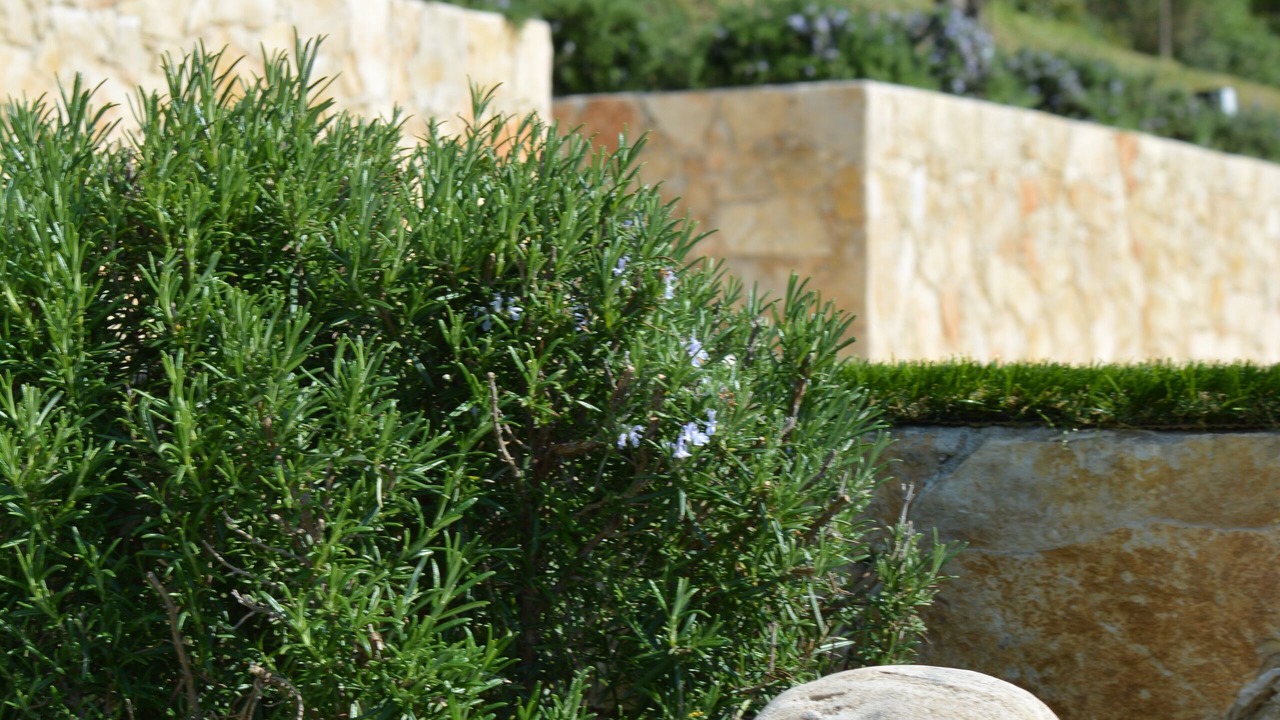 Photo of Outdoor in Saint-Paul-de-Vence