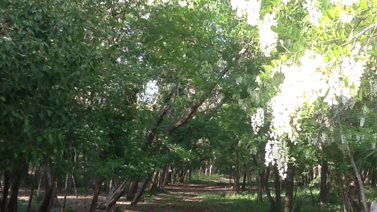 Photo of Outdoor in Mailleres