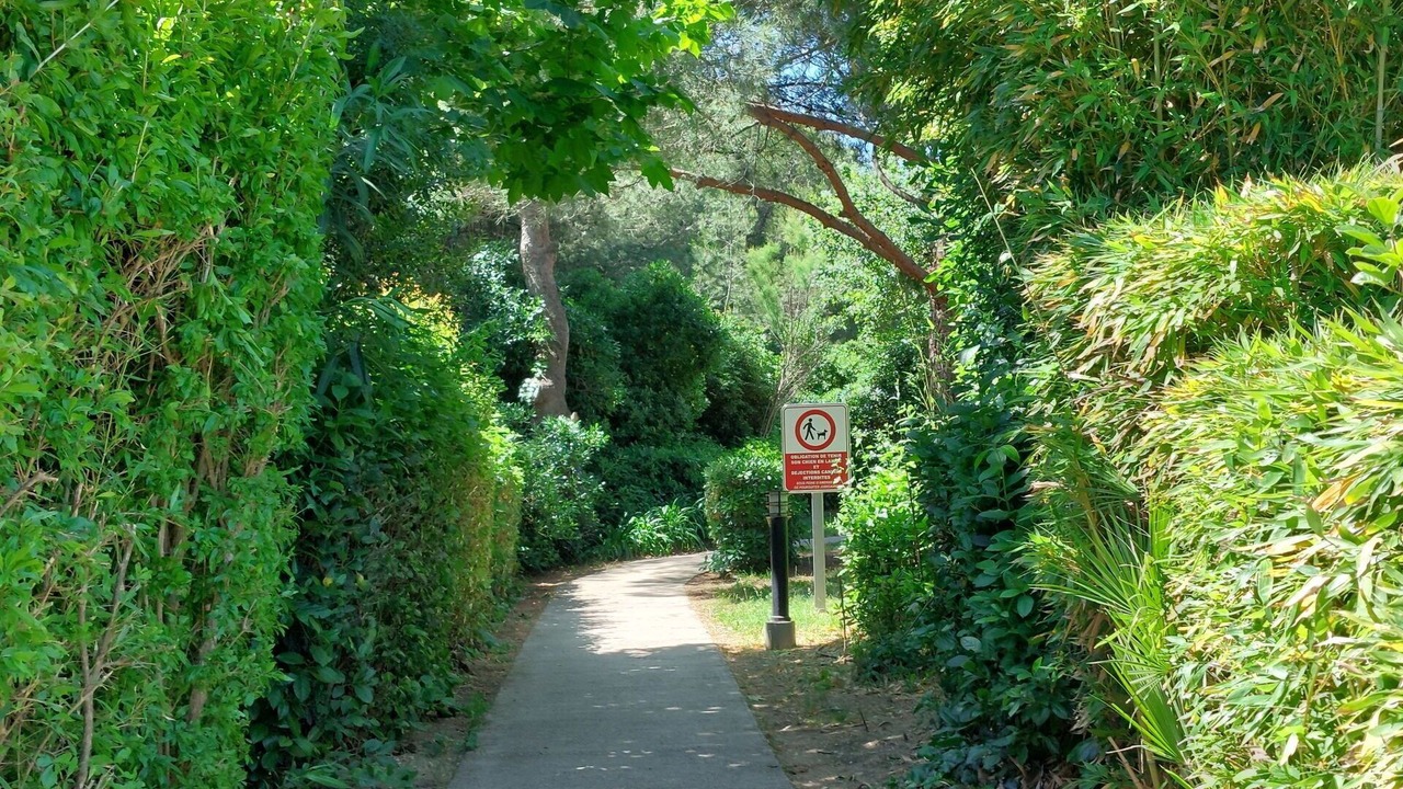 Photo of Outdoor in Six-Fours-les-Plages